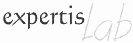 Élections CSE - Expertis Lab