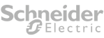 élections CSE - Schneider