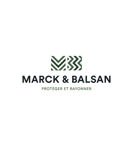 Elections CSE MARCK & BALSAN - Logo