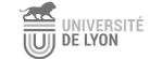 Vote sur internet Université de Lyon