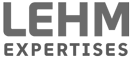 vote électronique - LEHM