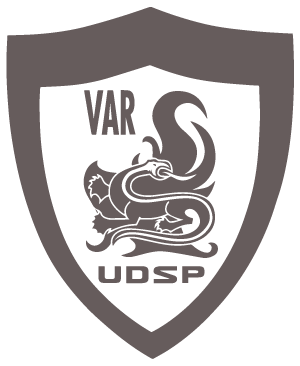 Élections UDSP - UDSP VAR